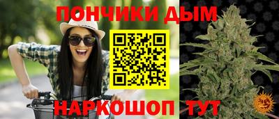 spice Нальчик