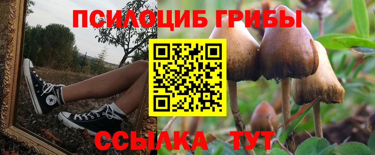 Балашов  Галлюциногенные грибы Psilocybine cubensis  Псилоцибиновые грибы Magic Shrooms  Вход с VPN 